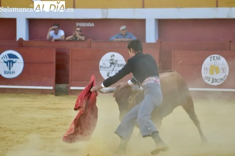 Foto 5 - Macotera disfruta de su pasi&oacute;n por el toro en el gran Festival Taurino de los sanroques