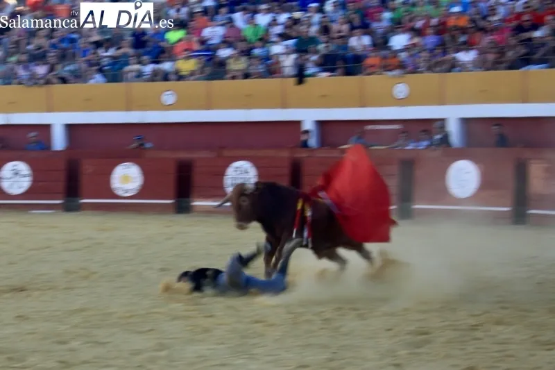 Foto 3 - Macotera disfruta de su pasi&oacute;n por el toro en el gran Festival Taurino de los sanroques