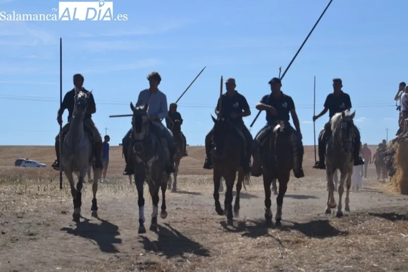 Foto 11 - Jinetes, aficionados y vecinos abarrotan Macotera para vivir su h&iacute;storico encierro a caballo