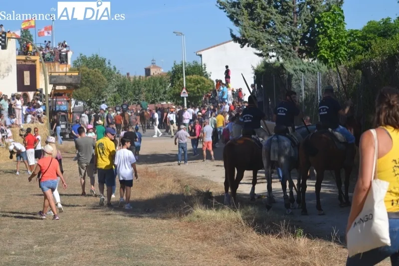 Foto 9 - Jinetes, aficionados y vecinos abarrotan Macotera para vivir su h&iacute;storico encierro a caballo