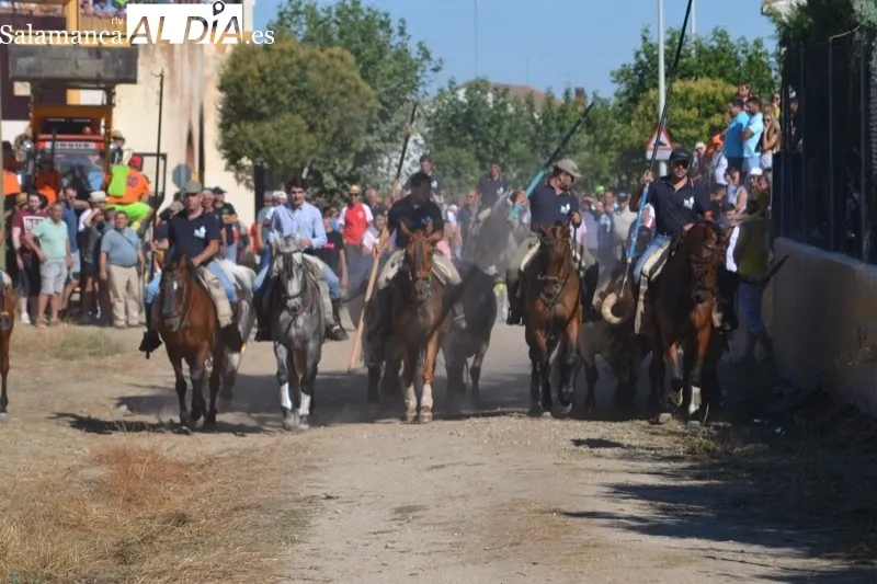 Foto 6 - Jinetes, aficionados y vecinos abarrotan Macotera para vivir su h&iacute;storico encierro a caballo