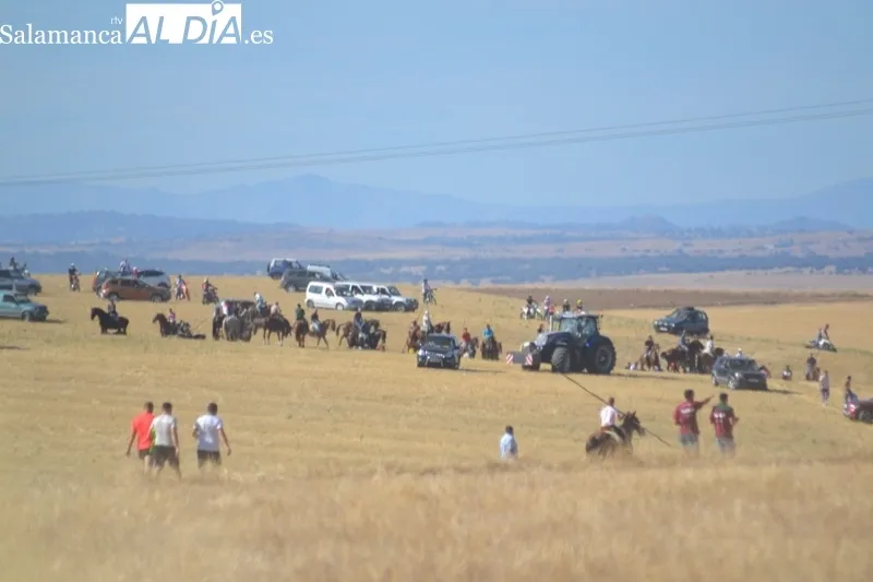 Foto 5 - Jinetes, aficionados y vecinos abarrotan Macotera para vivir su h&iacute;storico encierro a caballo