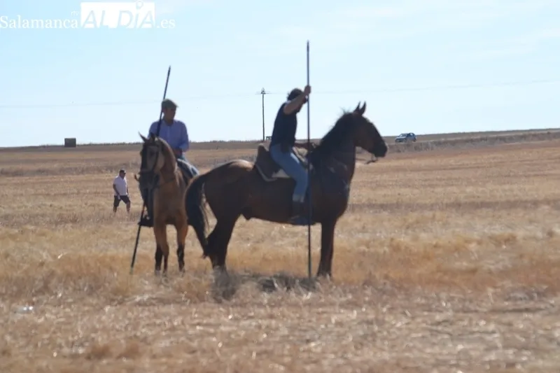 Foto 4 - Jinetes, aficionados y vecinos abarrotan Macotera para vivir su h&iacute;storico encierro a caballo