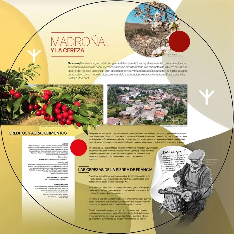 Inauguración del espacio interpretativo dedicado a La Cereza en Madroñal