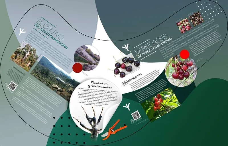 Inauguración del espacio interpretativo dedicado a La Cereza en Madroñal