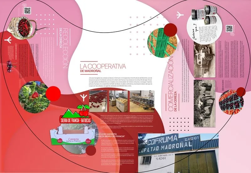 Inauguración del espacio interpretativo dedicado a La Cereza en Madroñal