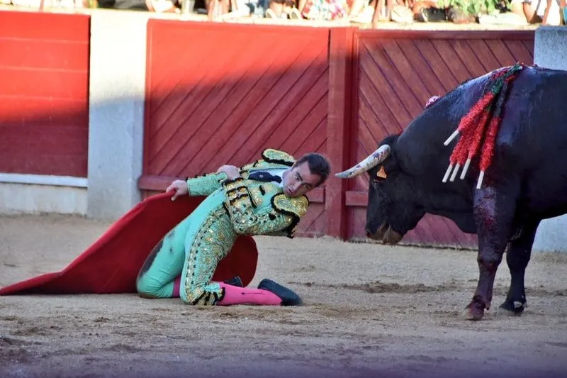 Primera corrida de la Feria de Guijuelo 2024. Foto Toros Guijuelo