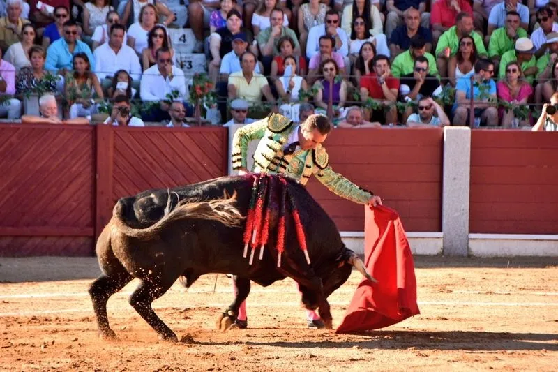 Primera corrida de la Feria de Guijuelo 2024. Foto Toros Guijuelo