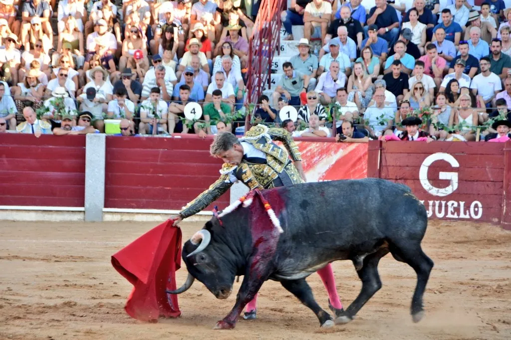 Foto 8 - La terna en hombros con gran corrida de Victorino Mart&iacute;n&nbsp;