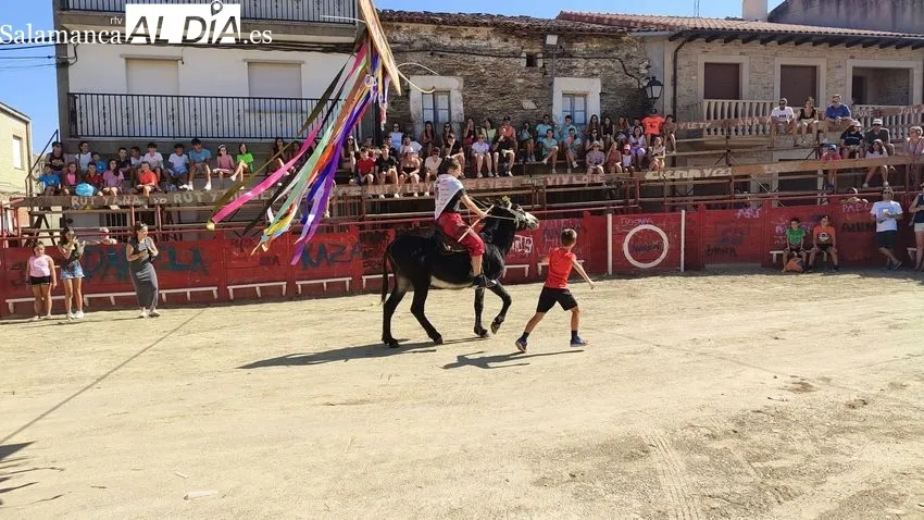 Divertida tarde de Quintos en Vilvestre / CORRAL
