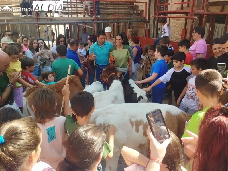 Rotundo éxito de la 'bueyada infantil' Tauro Tormes en Aldeadávila de la Ribera 