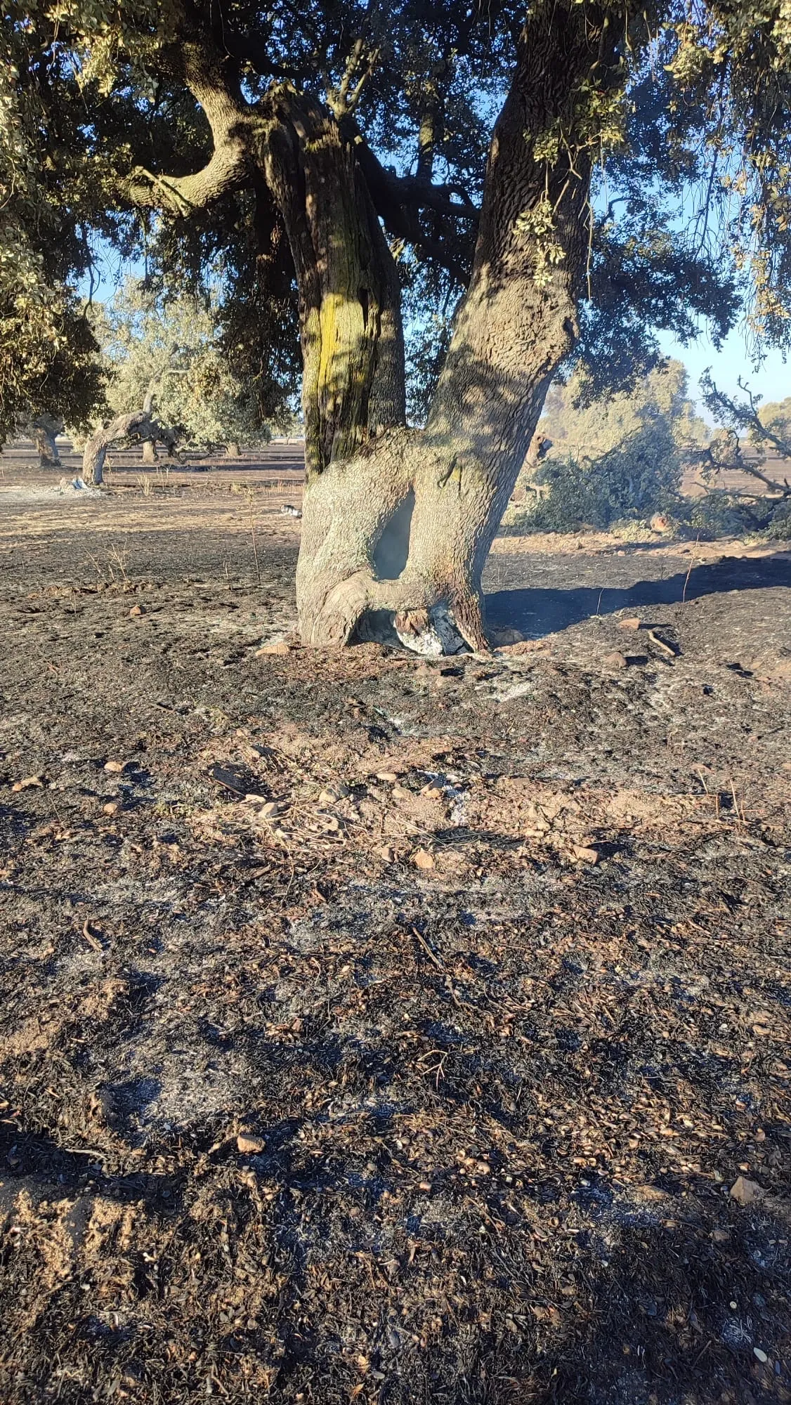 Foto 2 - Los santiagueses mantienen su preocupaci&oacute;n y pesar tras el gran incendio: &ldquo;Es una tristeza verlo as&iacute;. Sigue saliendo humo&rdquo;