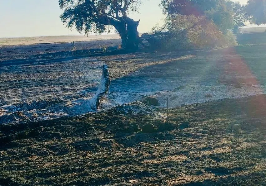 Foto 5 - Los santiagueses mantienen su preocupaci&oacute;n y pesar tras el gran incendio: &ldquo;Es una tristeza verlo as&iacute;. Sigue saliendo humo&rdquo;