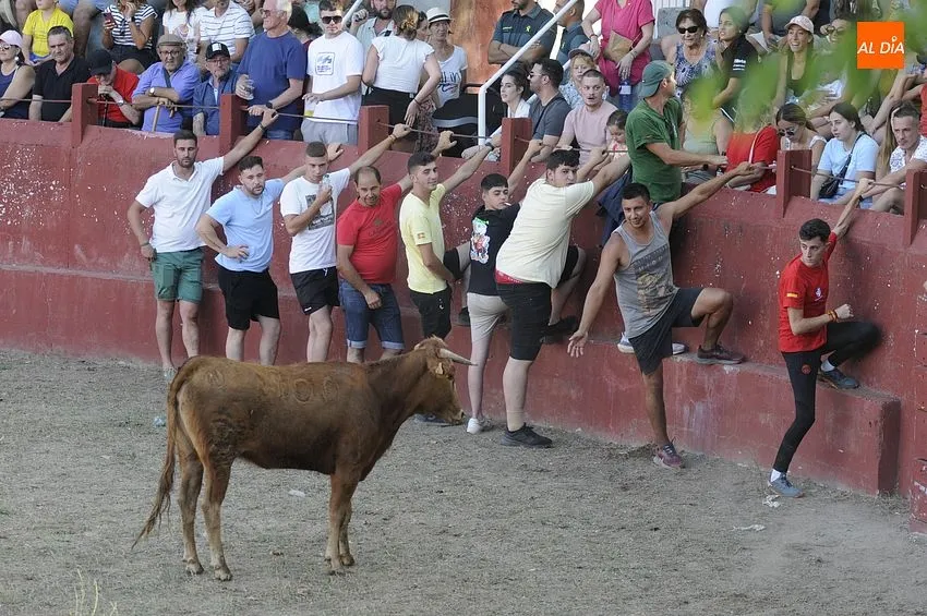 Capea popular en El Payo / Fotos: Adrián M.Pastor