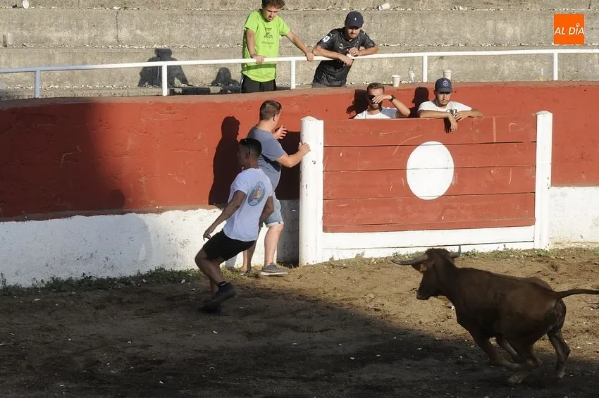 Capea popular en Navasfrías con vacas ‘saltarinas’/ Fotos: Adrián M.Pastor