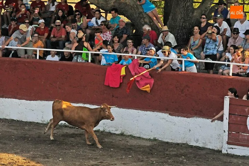 Capea popular en Navasfrías con vacas ‘saltarinas’/ Fotos: Adrián M.Pastor