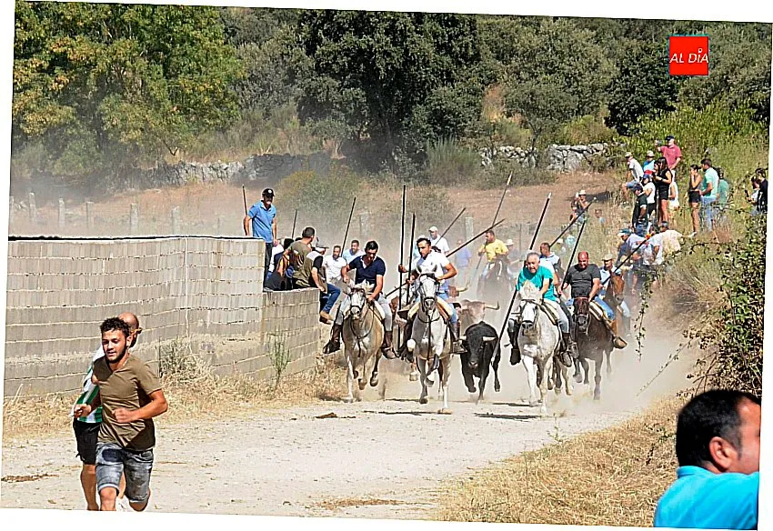 Encierro a Caballo Villar de Ciervo/ Fotos: Adrián M.Pastor