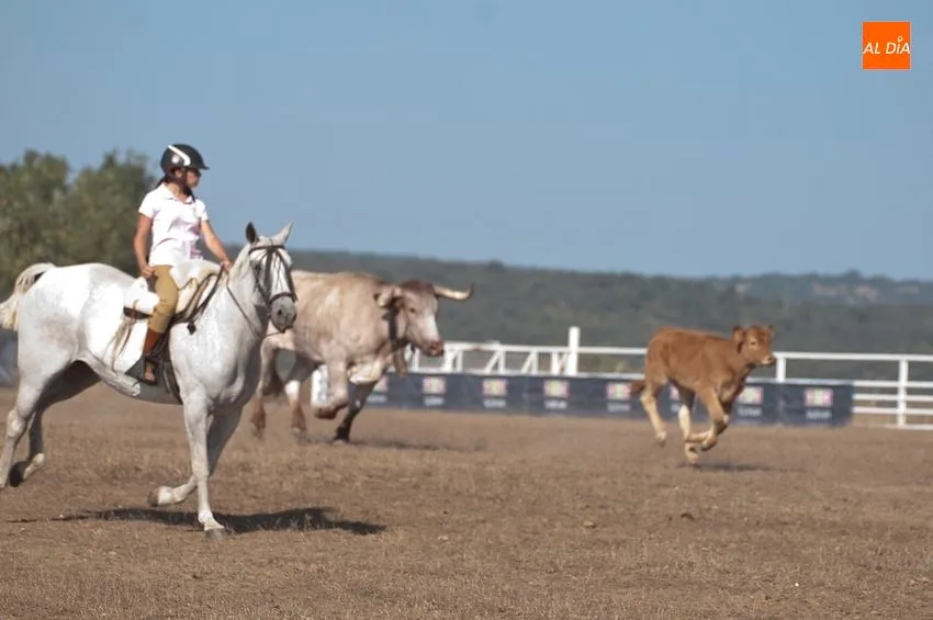 Foto 10 - Ligera jornada del XLI concurso de Faenas y Doma de Campo