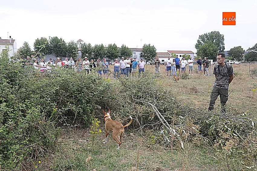 Foto 10 - &Aacute;gueda estrena sus Jornadas sobre el Mundo Rural reuniendo a unos 500 perros de caza