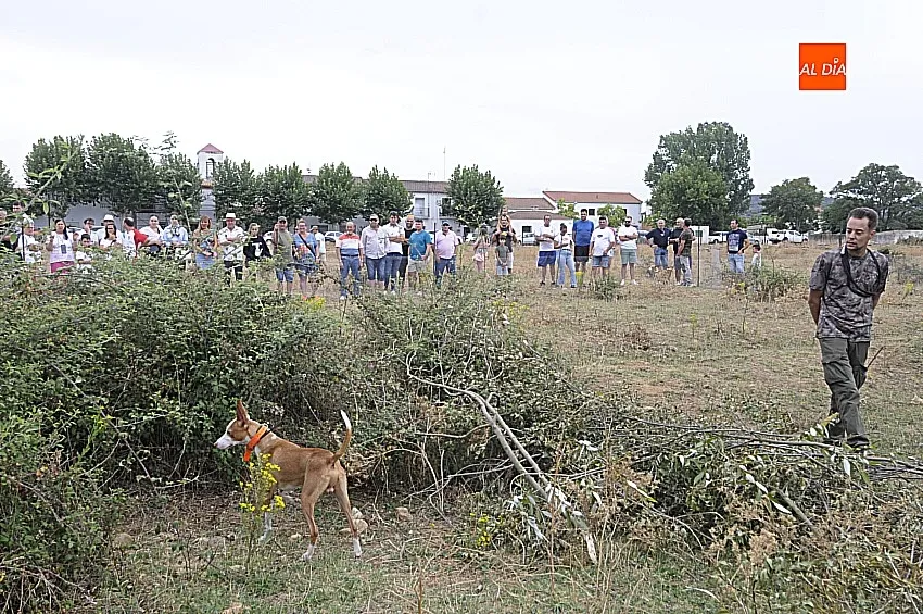 Foto 11 - &Aacute;gueda estrena sus Jornadas sobre el Mundo Rural reuniendo a unos 500 perros de caza