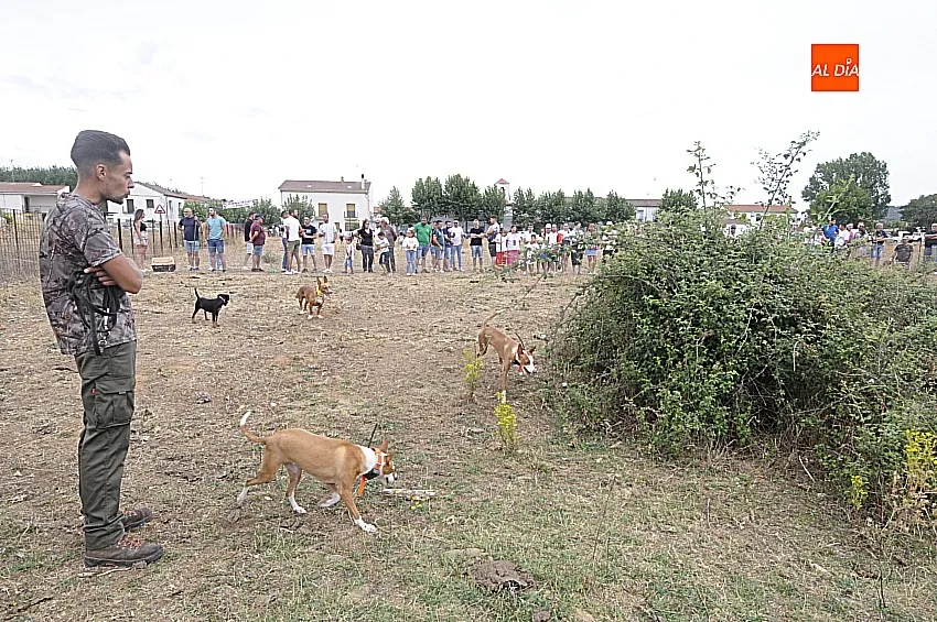 Foto 3 - &Aacute;gueda estrena sus Jornadas sobre el Mundo Rural reuniendo a unos 500 perros de caza
