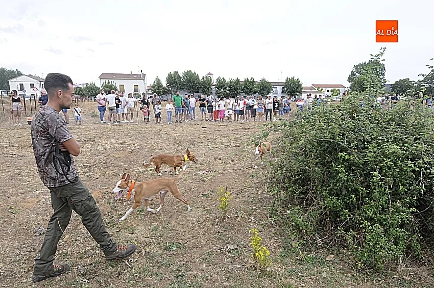 Foto 5 - &Aacute;gueda estrena sus Jornadas sobre el Mundo Rural reuniendo a unos 500 perros de caza