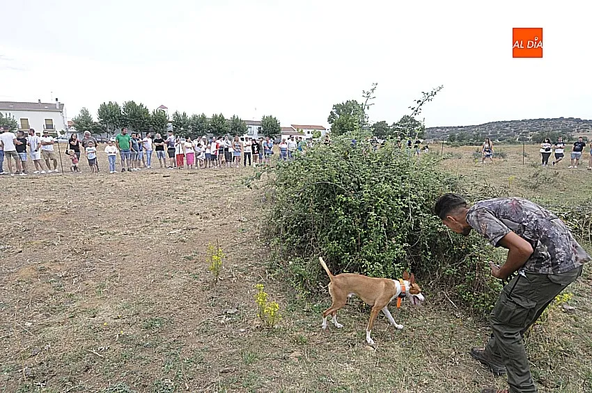 Foto 7 - &Aacute;gueda estrena sus Jornadas sobre el Mundo Rural reuniendo a unos 500 perros de caza