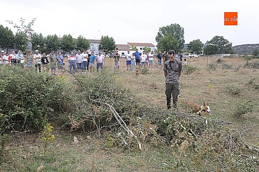 Foto 9 - &Aacute;gueda estrena sus Jornadas sobre el Mundo Rural reuniendo a unos 500 perros de caza