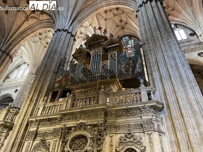 Foto 8 - El concierto de &oacute;rgano de Nicol&oacute; Sari llena de magia la Catedral