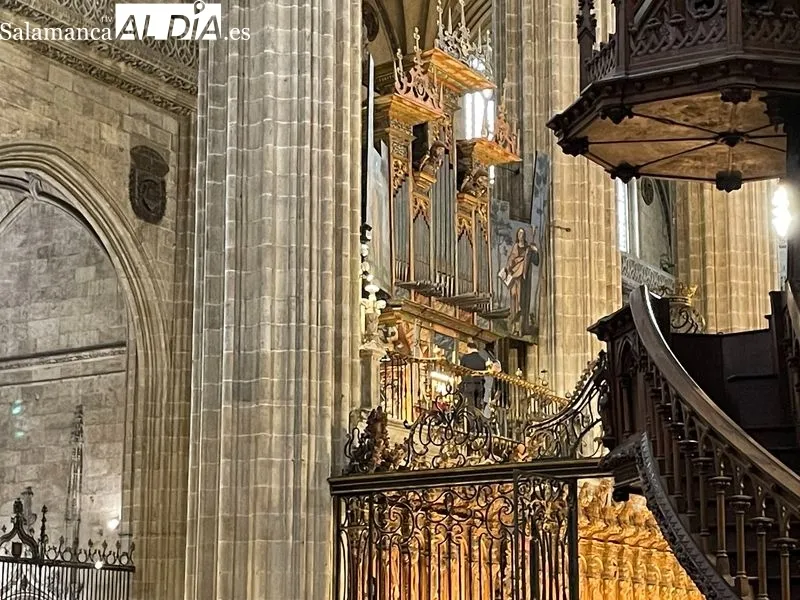 Foto 7 - El concierto de &oacute;rgano de Nicol&oacute; Sari llena de magia la Catedral
