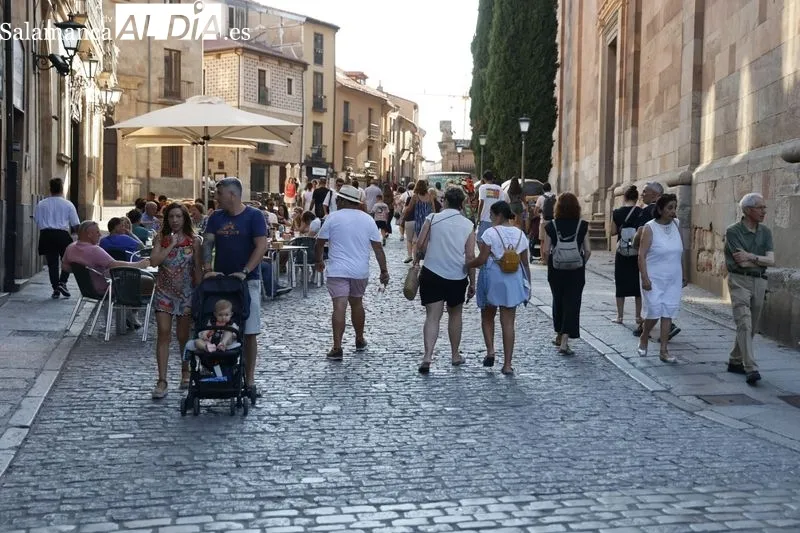 Sombras y lugares frescos, los elegidos por turistas y salmantinos para huir del calor | FOTO: David Sañudo