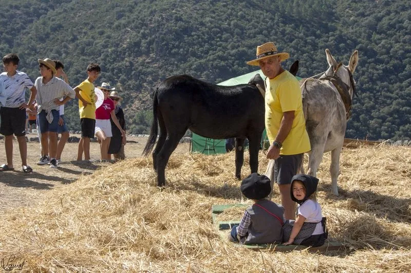 Monsagro 'viaja en el tiempo' para celebrar el Día de la Trilla | FOTOS: Manuel Lamas 