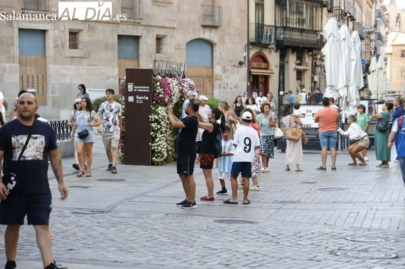 Sombras y lugares frescos, los elegidos por turistas y salmantinos para huir del calor | FOTO: David Sañudo