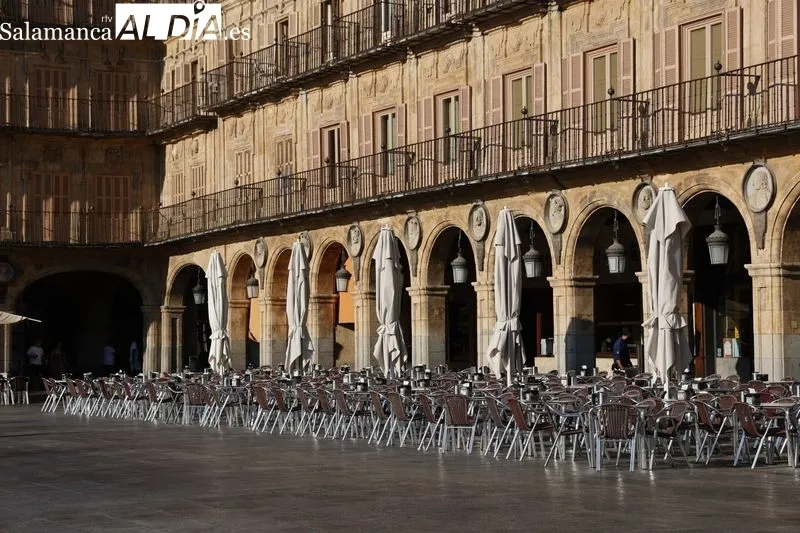 Sombras y lugares frescos, los elegidos por turistas y salmantinos para huir del calor | FOTO: David Sañudo