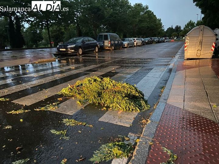 Las lluvias y tormentas dejan 84 incidentes en toda Castilla y León  