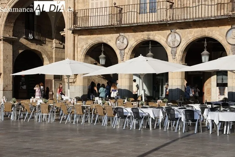 Sombras y lugares frescos, los elegidos por turistas y salmantinos para huir del calor | FOTO: David Sañudo