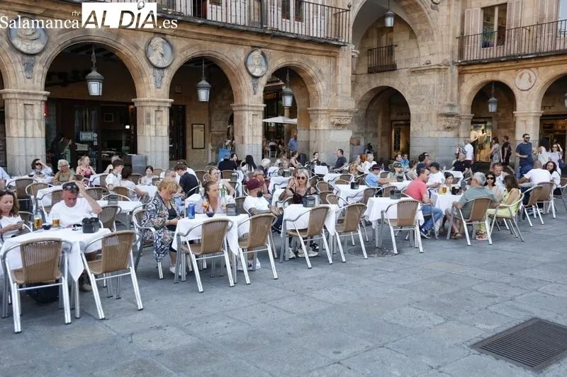 Sombras y lugares frescos, los elegidos por turistas y salmantinos para huir del calor | FOTO: David Sañudo