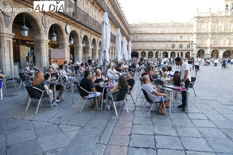 Sombras y lugares frescos, los elegidos por turistas y salmantinos para huir del calor | FOTO: David Sañudo