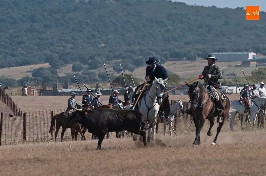 Foto 5 - Ligera jornada del XLI concurso de Faenas y Doma de Campo
