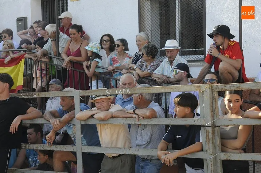 Capea tradicional en Agallas/ Fotos Adrián M.Pastor