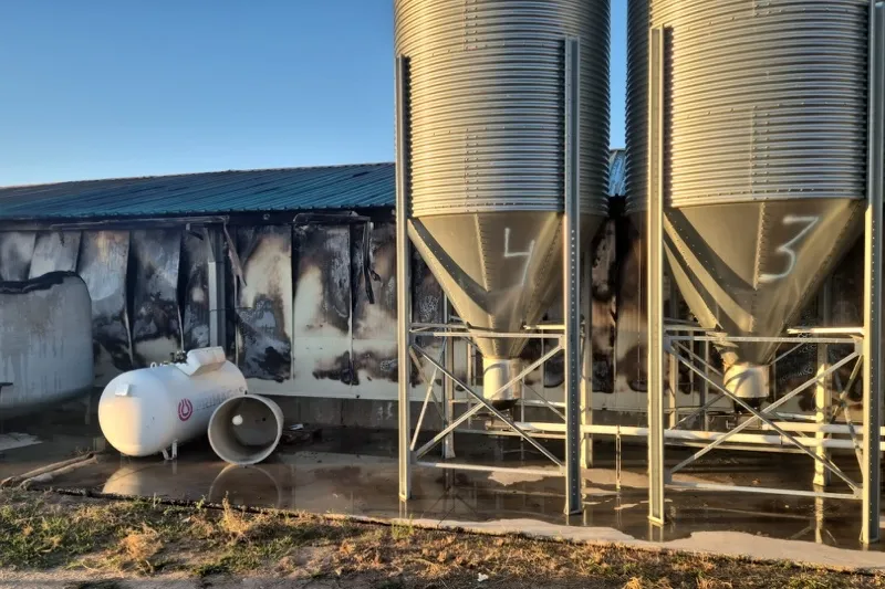 Foto 2 - Un gran incendio calcina unas naves de conejos en Tarazona de la Guare&ntilde;a, con miles de estos animales muertos