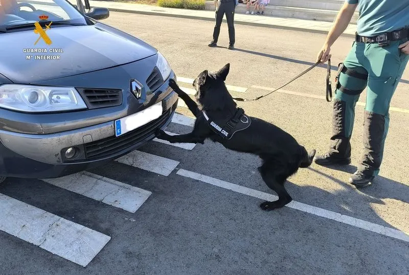 Exhibición Canina de la Guardia Civil en Carbajosa