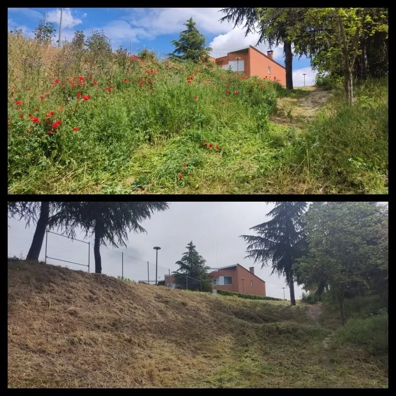 Programa Mixto de Formación y Empleo 'Paisajes de Cabrerizos'
