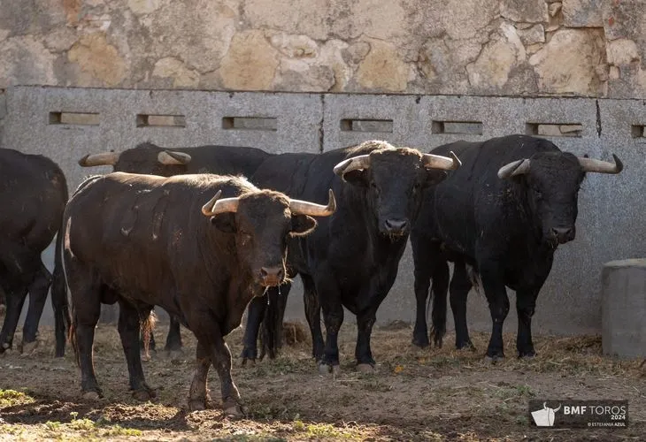 'Botellero' abre la Feria Taurina 2024 | FOTOS: BMF Toros 