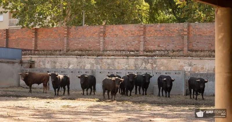 'Botellero' abre la Feria Taurina 2024 | FOTOS: BMF Toros 