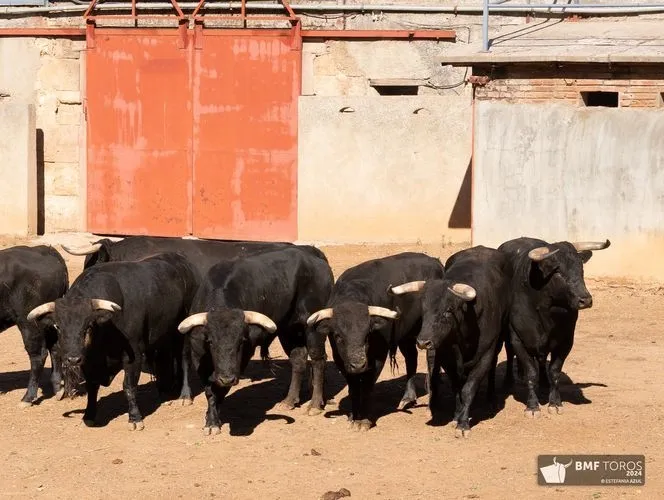 'Botellero' abre la Feria Taurina 2024 | FOTOS: BMF Toros 