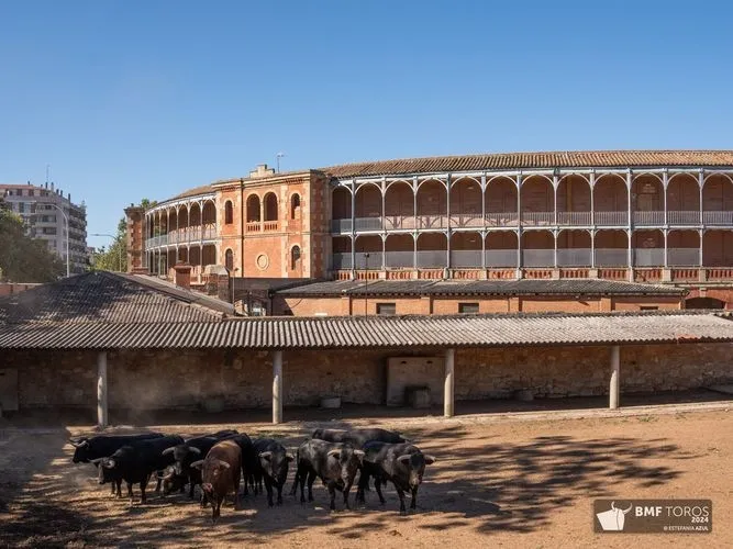 'Botellero' abre la Feria Taurina 2024 | FOTOS: BMF Toros 