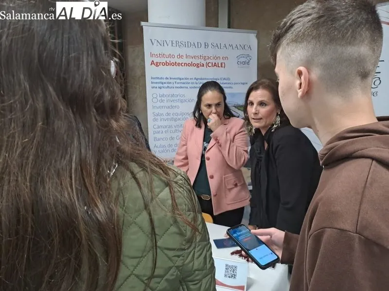 Feria de Empleo en la Cámara de Comercio de Salamanca. Foto de Víctor Jiménez