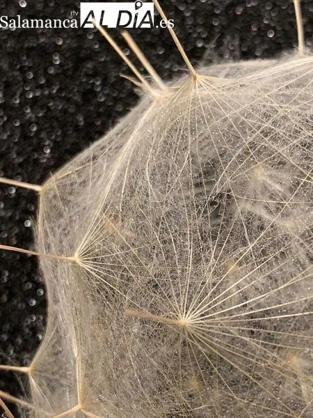 CONTEXTILE- Bienal de Arte Textil Contemporáneo de Guimarães, del 7 de septiembre al 15 de diciembre de 2024