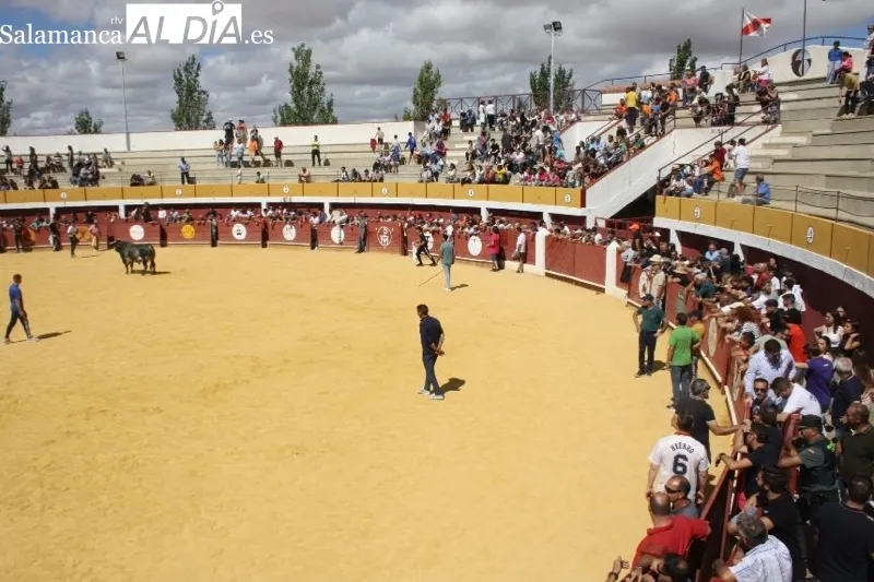 Foto 2 - Expectaci&oacute;n y carreras protagonizan el II Toro Virgen de la Vega de Macotera